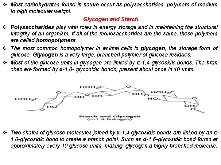 v Most carbohydrates found in nature occur as polysaccharides, polymers of medium to high