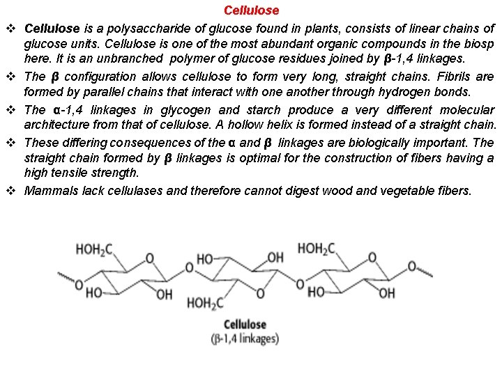 v v v Cellulose is a polysaccharide of glucose found in plants, consists of
