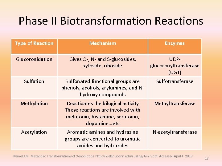 Phase II Biotransformation Reactions Type of Reaction Mechanism Enzymes Glucoronidation Gives O-, N- and