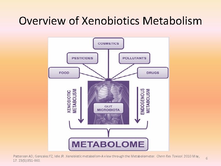Overview of Xenobiotics Metabolism Patterson AD, Gonzalez FZ, Idle JR. Xenobiotic metabolism-A view through