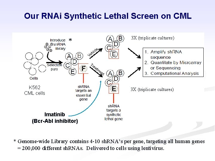Our RNAi Synthetic Lethal Screen on CML * 3 X (triplicate cultures) puro K