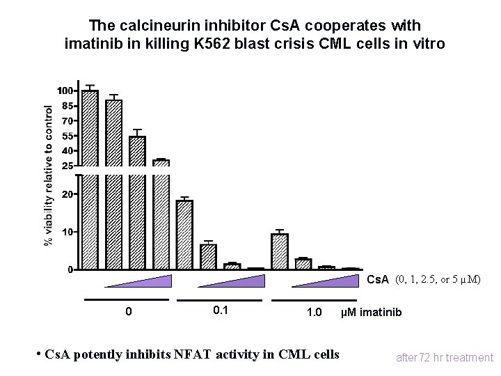 The calcineurin inhibitor Cs. A cooperates with imatinib in killing K 562 blast crisis