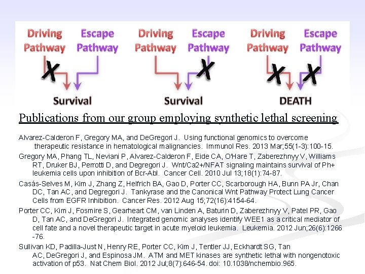 Publications from our group employing synthetic lethal screening Alvarez-Calderon F, Gregory MA, and De.