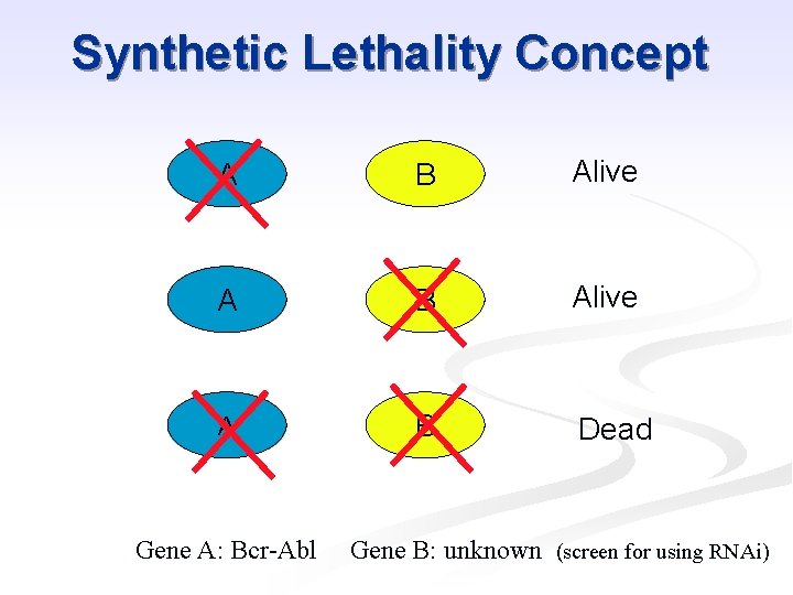 Synthetic Lethality Concept A B Alive A B Dead Gene A: Bcr-Abl Gene B: