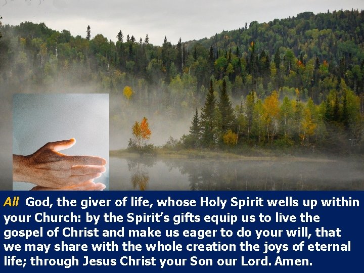 All God, the giver of life, whose Holy Spirit wells up within your Church: