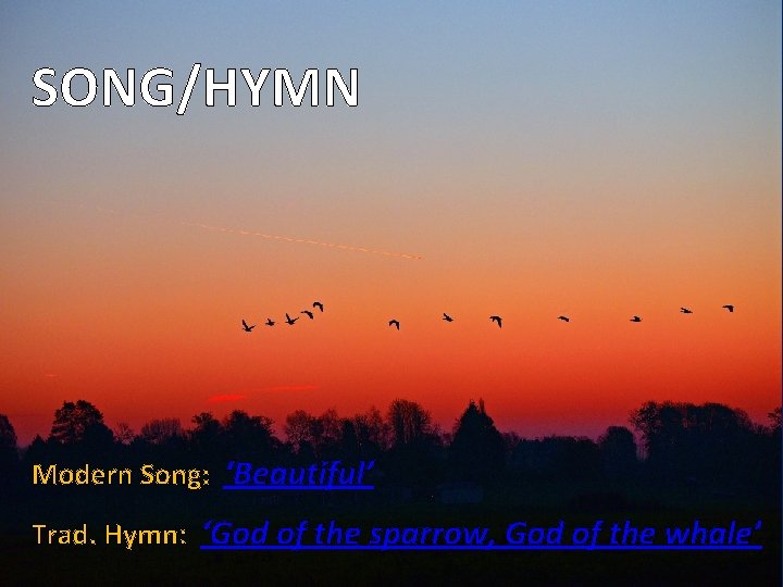 SONG/HYMN Modern Song: ‘Beautiful’ Trad. Hymn: ‘God of the sparrow, God of the whale’