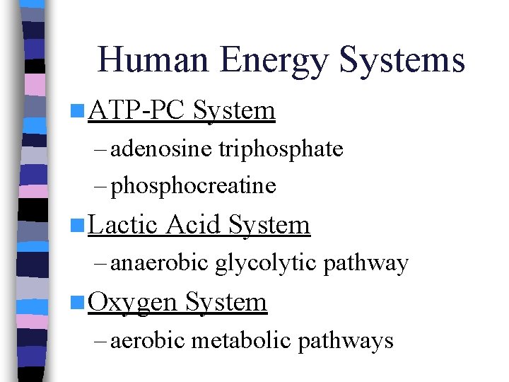 Human Energy Systems n ATP-PC System – adenosine triphosphate – phosphocreatine n Lactic Acid
