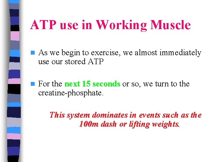ATP use in Working Muscle n As we begin to exercise, we almost immediately