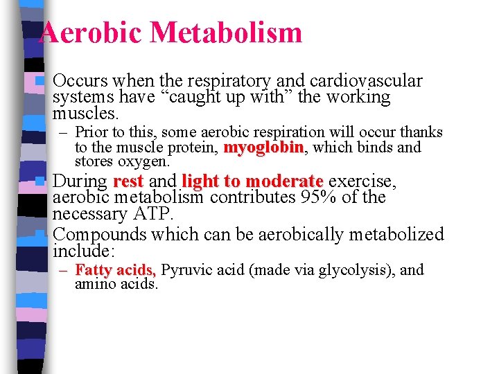 Aerobic Metabolism n Occurs when the respiratory and cardiovascular systems have “caught up with”