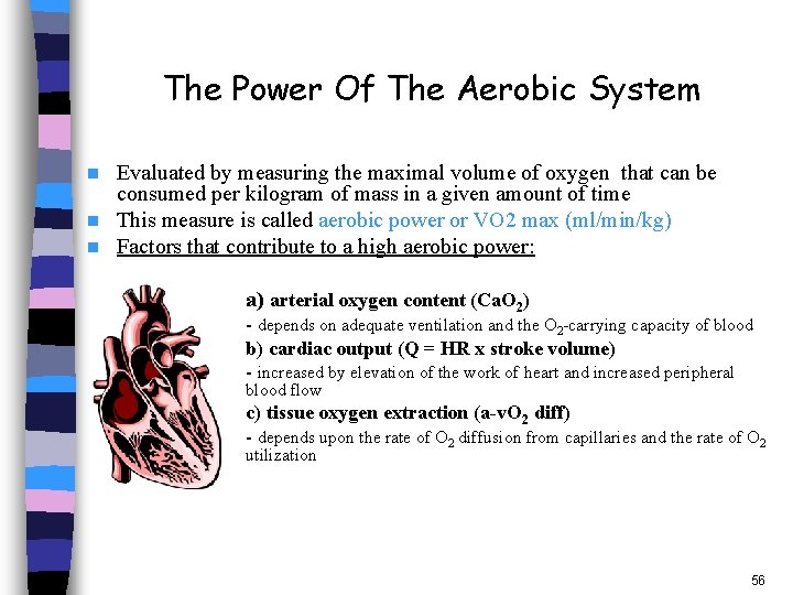 The Power Of The Aerobic System Evaluated by measuring the maximal volume of oxygen