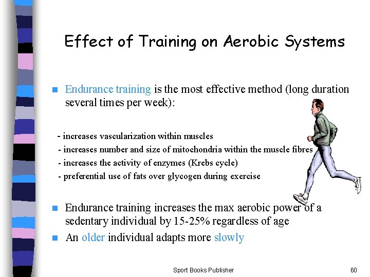 Effect of Training on Aerobic Systems n Endurance training is the most effective method