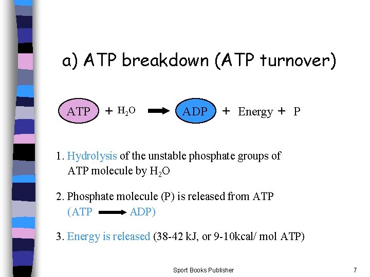 a) ATP breakdown (ATP turnover) ATP + H 2 O ADP + Energy +