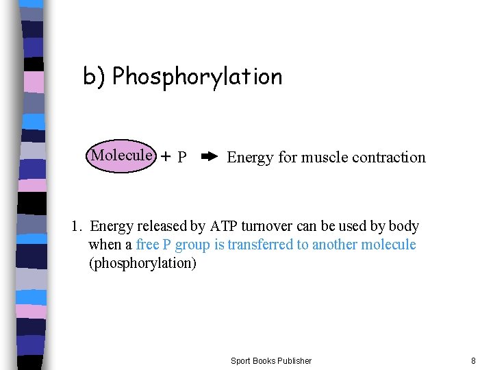 b) Phosphorylation Molecule + P Energy for muscle contraction 1. Energy released by ATP