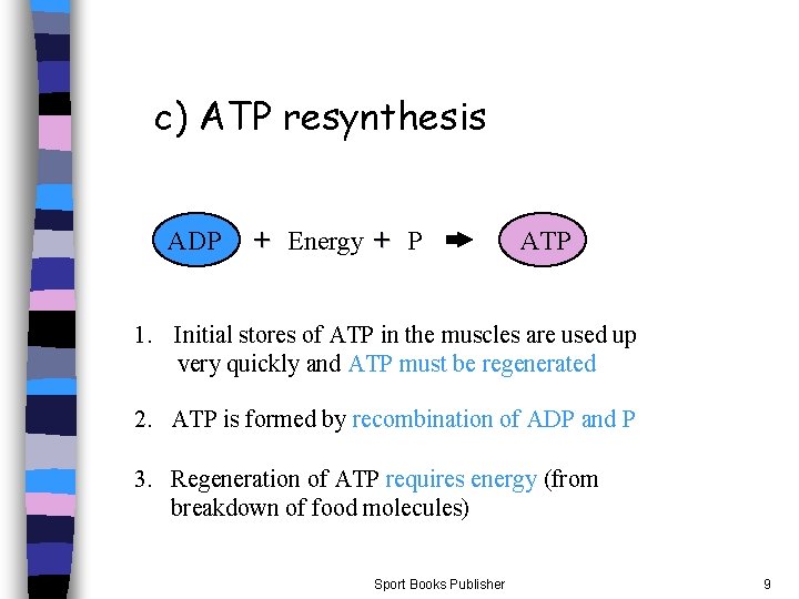 c) ATP resynthesis ADP + Energy + P ATP 1. Initial stores of ATP