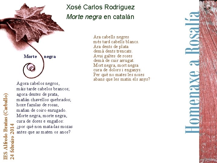 Xosé Carlos Rodríguez Morte negra en catalán IES Alfredo Brañas (Carballo) 24 febreiro 2014