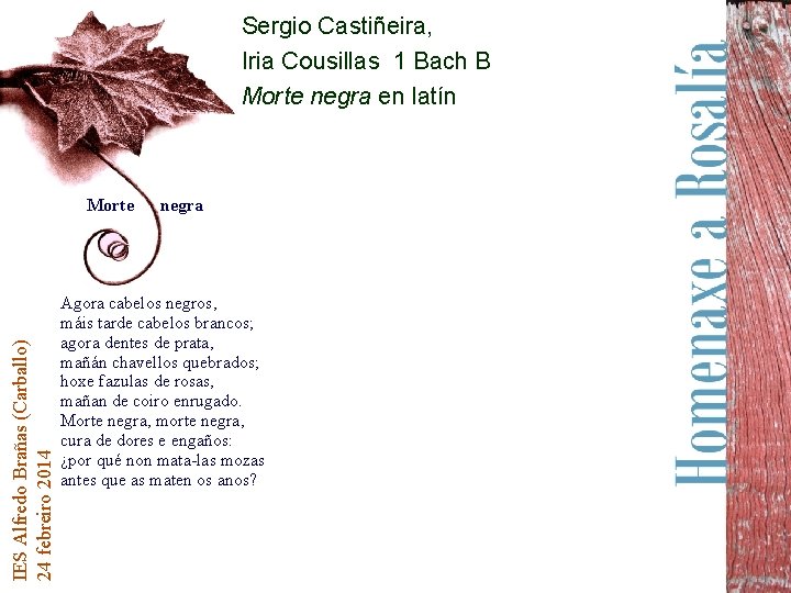 Sergio Castiñeira, Iria Cousillas 1 Bach B Morte negra en latín IES Alfredo Brañas