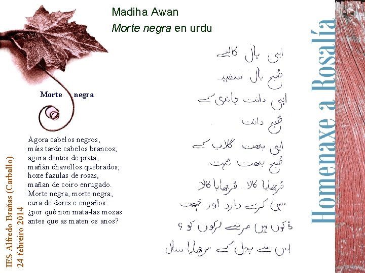 Madiha Awan Morte negra en urdu IES Alfredo Brañas (Carballo) 24 febreiro 2014 Morte