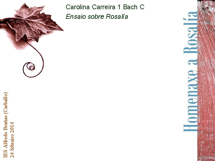 IES Alfredo Brañas (Carballo) 24 febreiro 2014 Carolina Carreira 1 Bach C Ensaio sobre