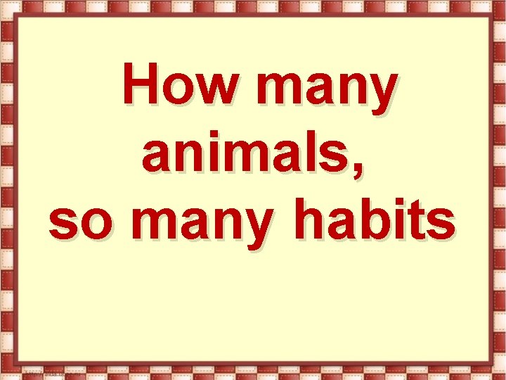 How many animals, so many habits 