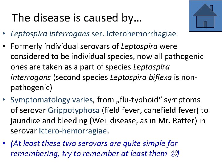 The disease is caused by… • Leptospira interrogans ser. Icterohemorrhagiae • Formerly individual serovars