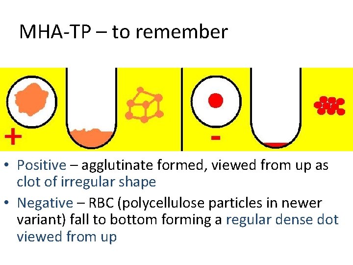 MHA-TP – to remember • Positive – agglutinate formed, viewed from up as clot