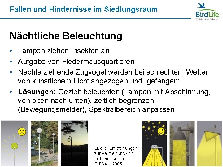 Fallen und Hindernisse im Siedlungsraum Nächtliche Beleuchtung • Lampen ziehen Insekten an • Aufgabe