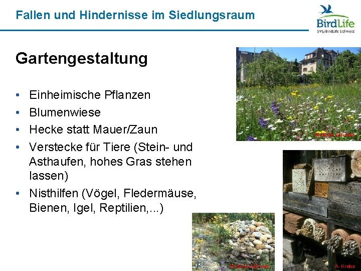 Fallen und Hindernisse im Siedlungsraum Gartengestaltung • • Einheimische Pflanzen Blumenwiese Hecke statt Mauer/Zaun