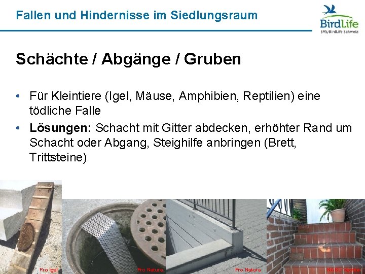 Fallen und Hindernisse im Siedlungsraum Schächte / Abgänge / Gruben • Für Kleintiere (Igel,