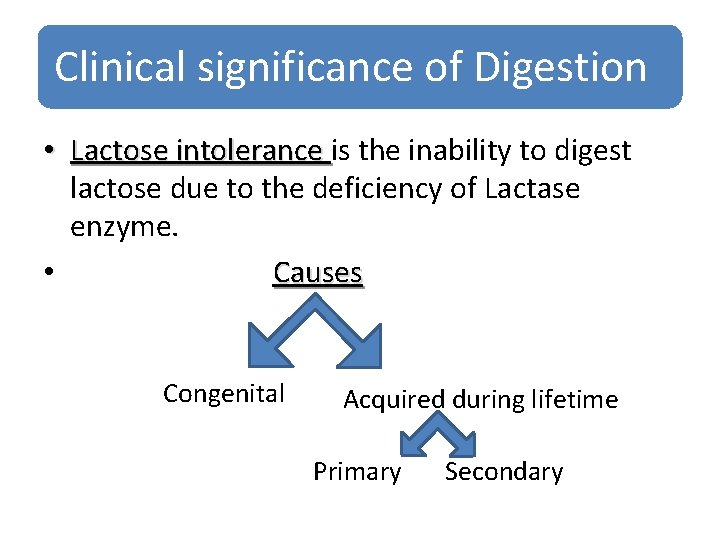 Clinical significance of Digestion • Lactose intolerance is the inability to digest Lactose intolerance