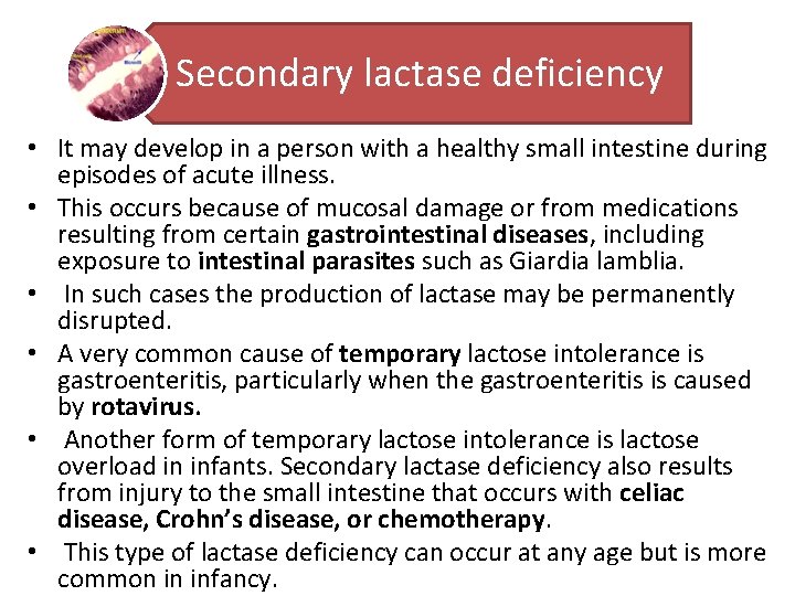 Secondary lactase deficiency • It may develop in a person with a healthy small