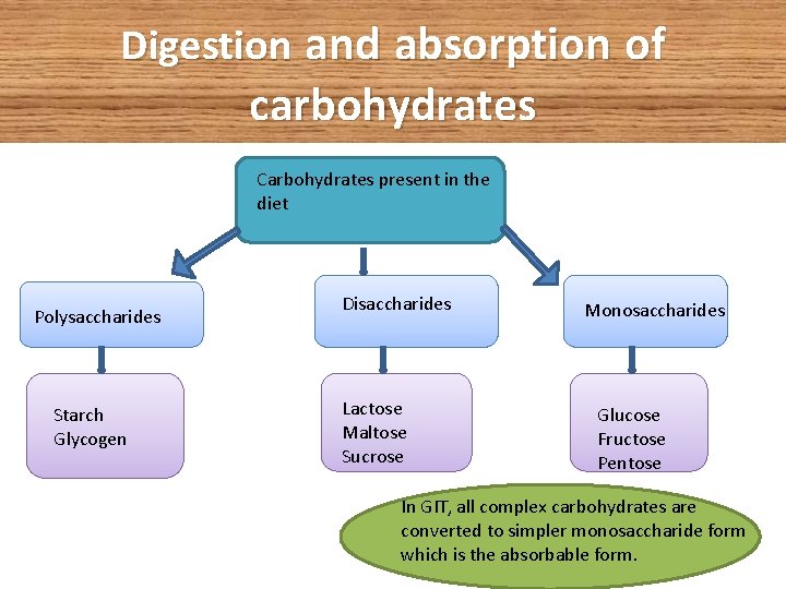 Digestion and absorption of carbohydrates Carbohydrates present in the diet Polysaccharides Starch Glycogen Disaccharides