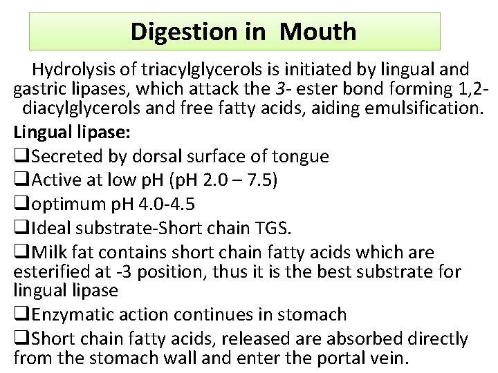  Digestion in Mouth Hydrolysis of triacylglycerols is initiated by lingual and gastric lipases,