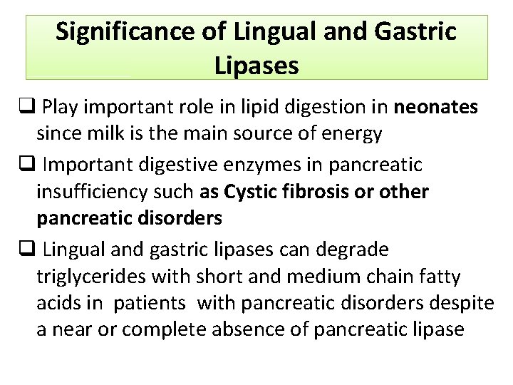 Significance of Lingual and Gastric Lipases q Play important role in lipid digestion in