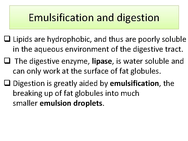 Emulsification and digestion q Lipids are hydrophobic, and thus are poorly soluble in the
