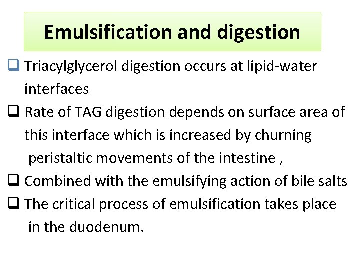 Emulsification and digestion q Triacylglycerol digestion occurs at lipid-water interfaces q Rate of TAG