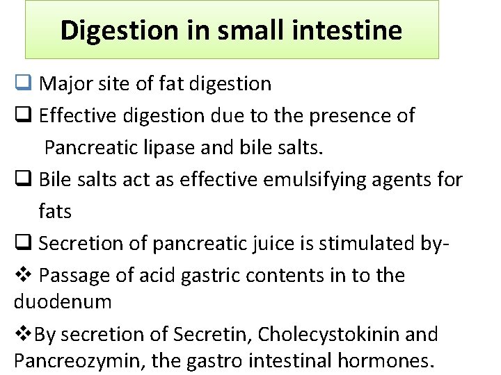 Digestion in small intestine q Major site of fat digestion q Effective digestion due