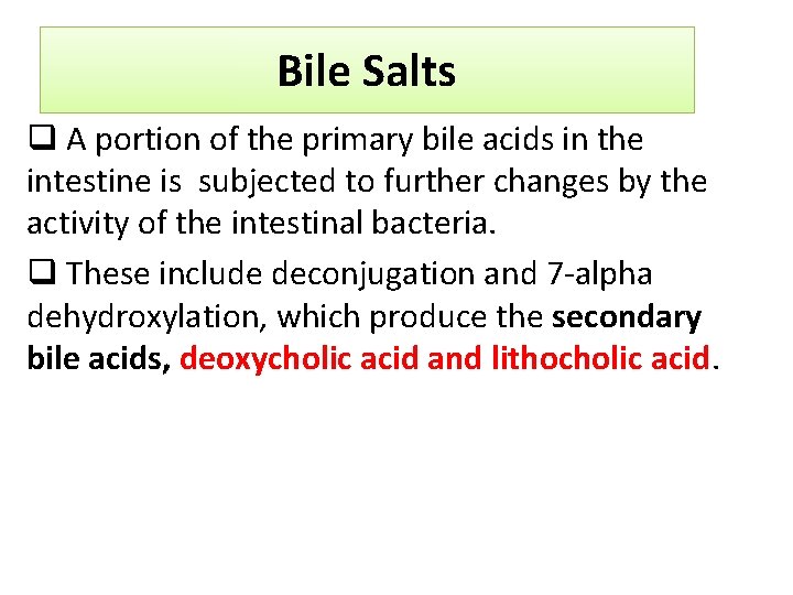 Bile Salts q A portion of the primary bile acids in the intestine is
