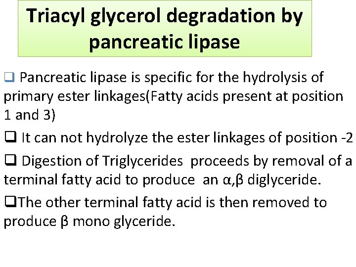 Triacyl glycerol degradation by pancreatic lipase q Pancreatic lipase is specific for the hydrolysis