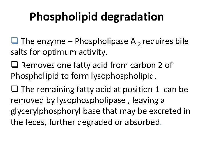 Phospholipid degradation q The enzyme – Phospholipase A 2 requires bile salts for optimum