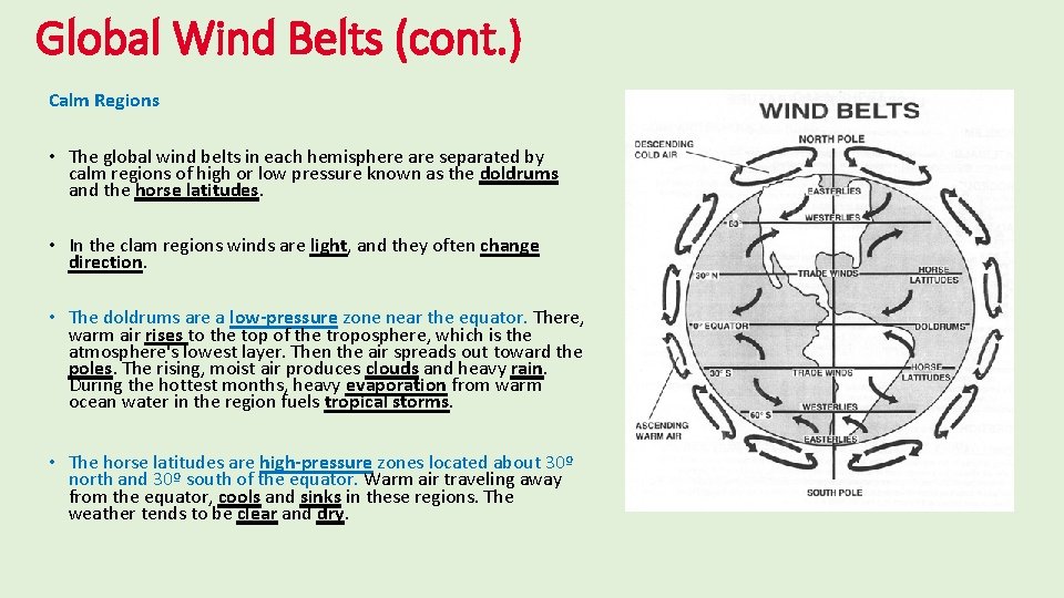 Global Wind Belts (cont. ) Calm Regions • The global wind belts in each