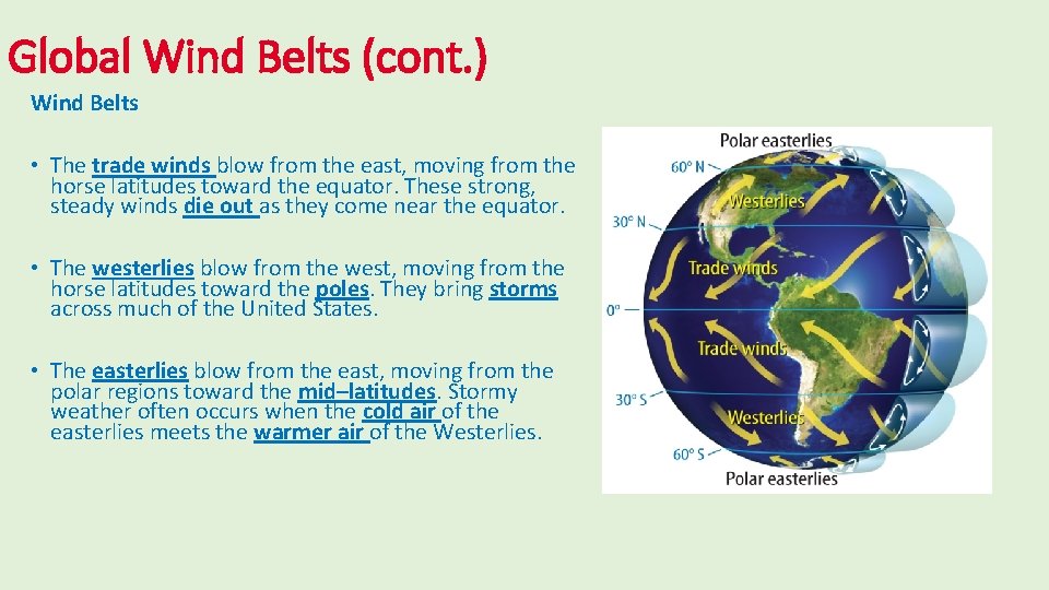 Global Wind Belts (cont. ) Wind Belts • The trade winds blow from the