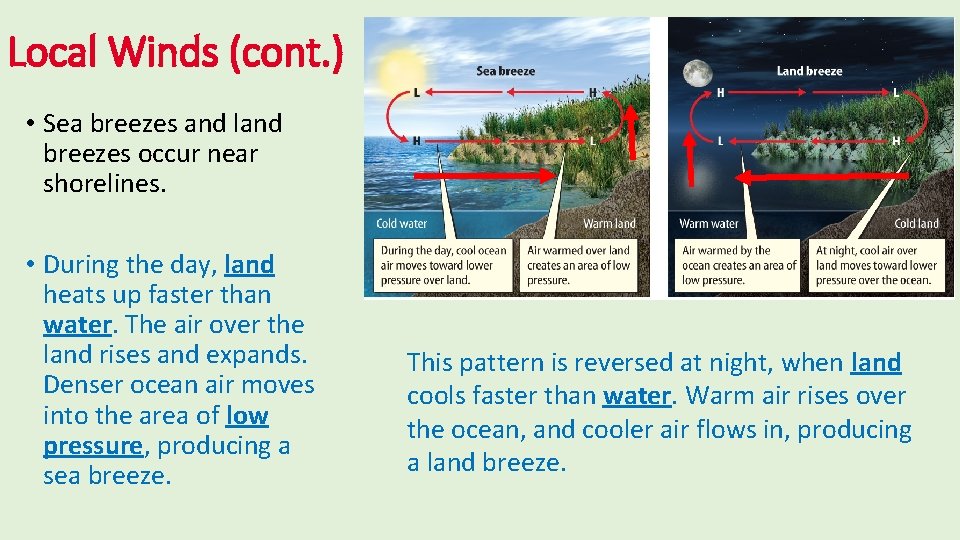 Local Winds (cont. ) • Sea breezes and land breezes occur near shorelines. •