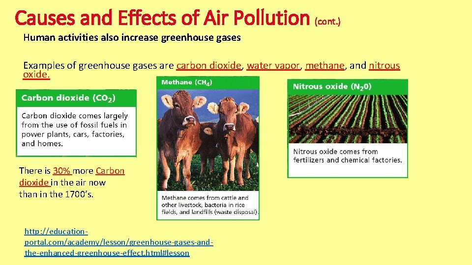 Causes and Effects of Air Pollution (cont. ) Human activities also increase greenhouse gases