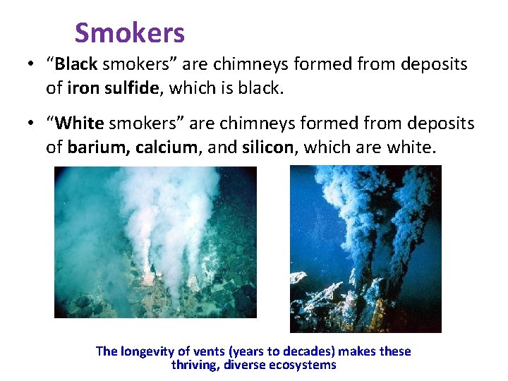 Smokers • “Black smokers” are chimneys formed from deposits of iron sulfide, which is