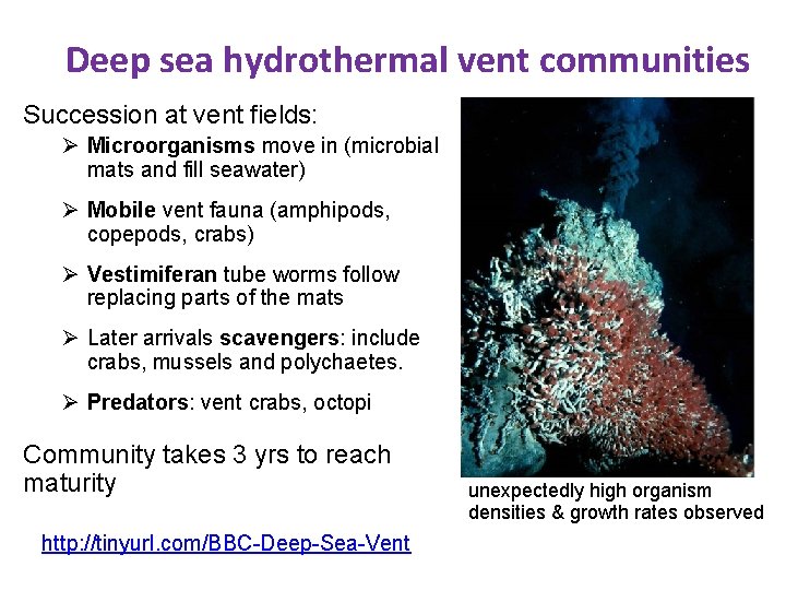 Deep sea hydrothermal vent communities Succession at vent fields: Ø Microorganisms move in (microbial