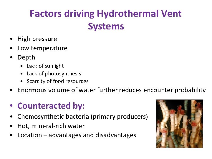 Factors driving Hydrothermal Vent Systems • High pressure • Low temperature • Depth •