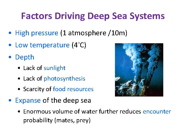 Factors Driving Deep Sea Systems • High pressure (1 atmosphere /10 m) • Low