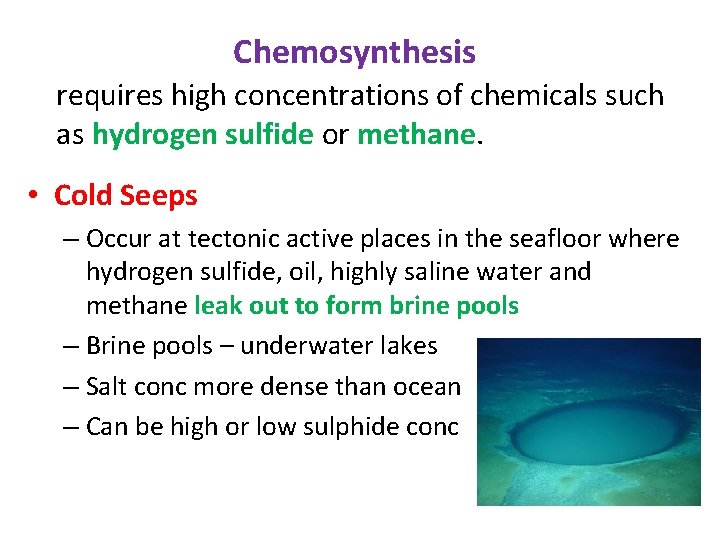 Chemosynthesis requires high concentrations of chemicals such as hydrogen sulfide or methane. • Cold