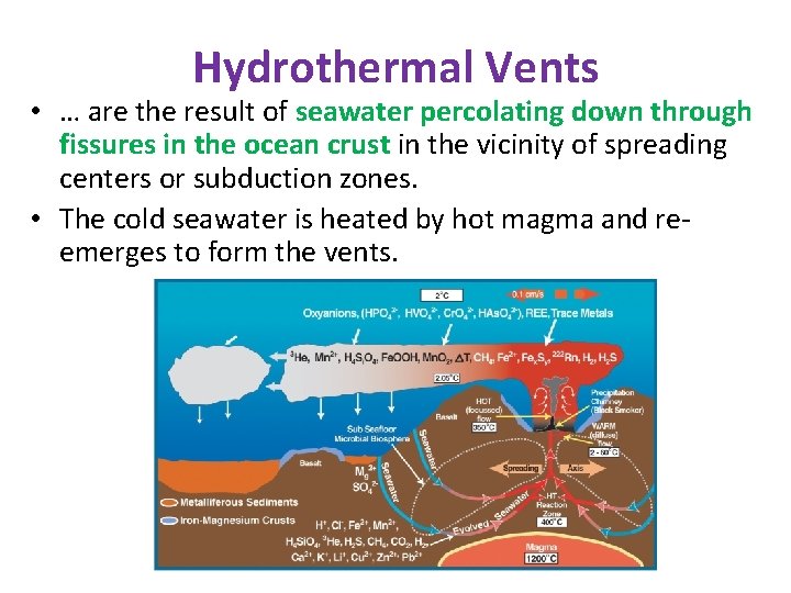 Hydrothermal Vents • … are the result of seawater percolating down through fissures in