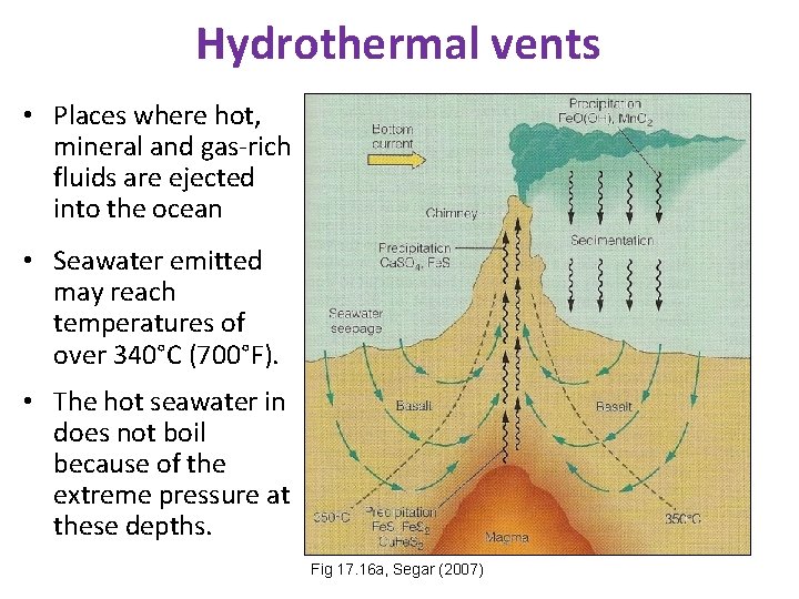 Hydrothermal vents • Places where hot, mineral and gas-rich fluids are ejected into the